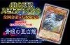 Yu-Gi-Oh! The Dark Side of Dimensions Theater distribution cards