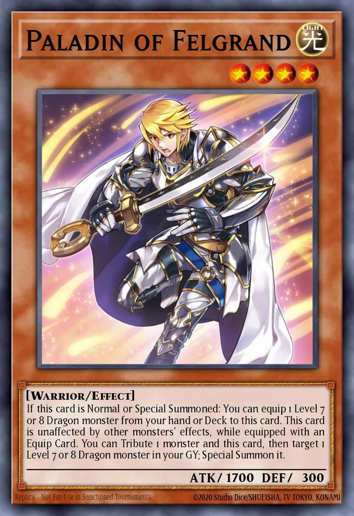 Paladin of Felgrand