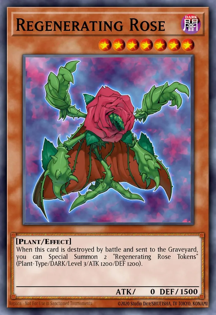 Regenerating Rose