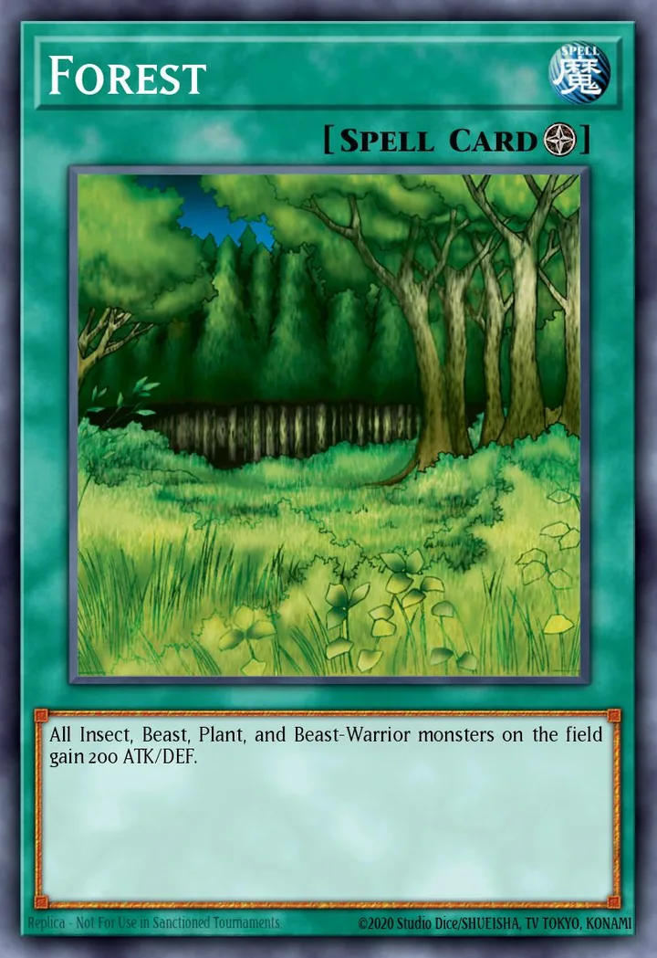 Forest