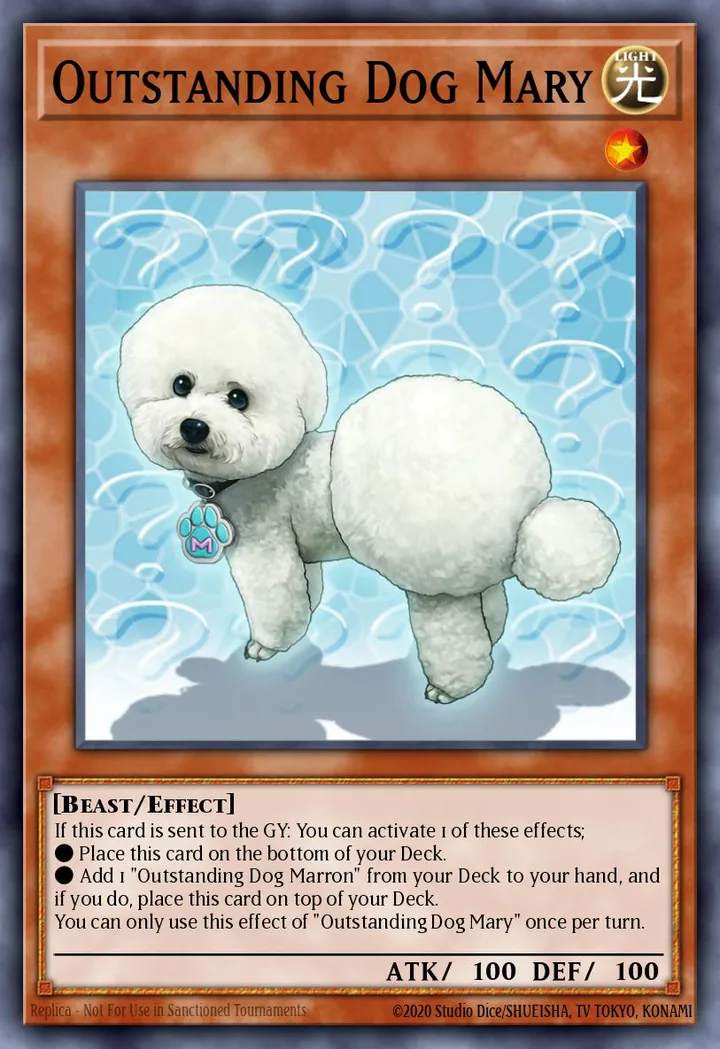 Outstanding Dog Mary