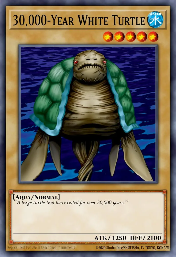 30,000-Year White Turtle